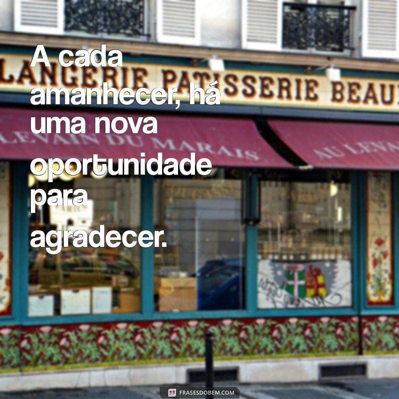 Frases de Gratidão Inspiradoras para Compartilhar no Tumblr 