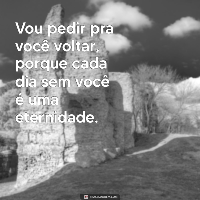 vou pedir pra você voltar Vou pedir pra você voltar, porque cada dia sem você é uma eternidade.