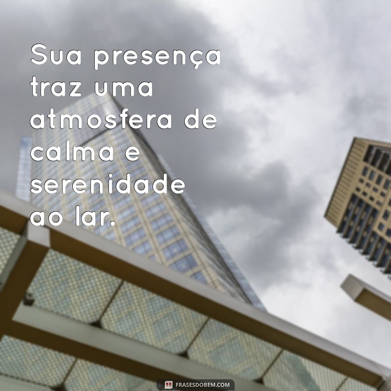 Descubra Tudo Sobre Gatos: Comportamento, Cuidados e Curiosidades 