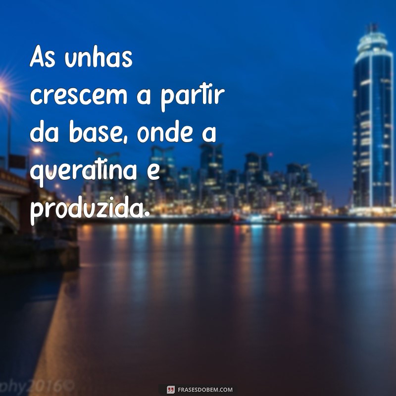 Descubra do que é feita a unha: Composição, Estrutura e Curiosidades 