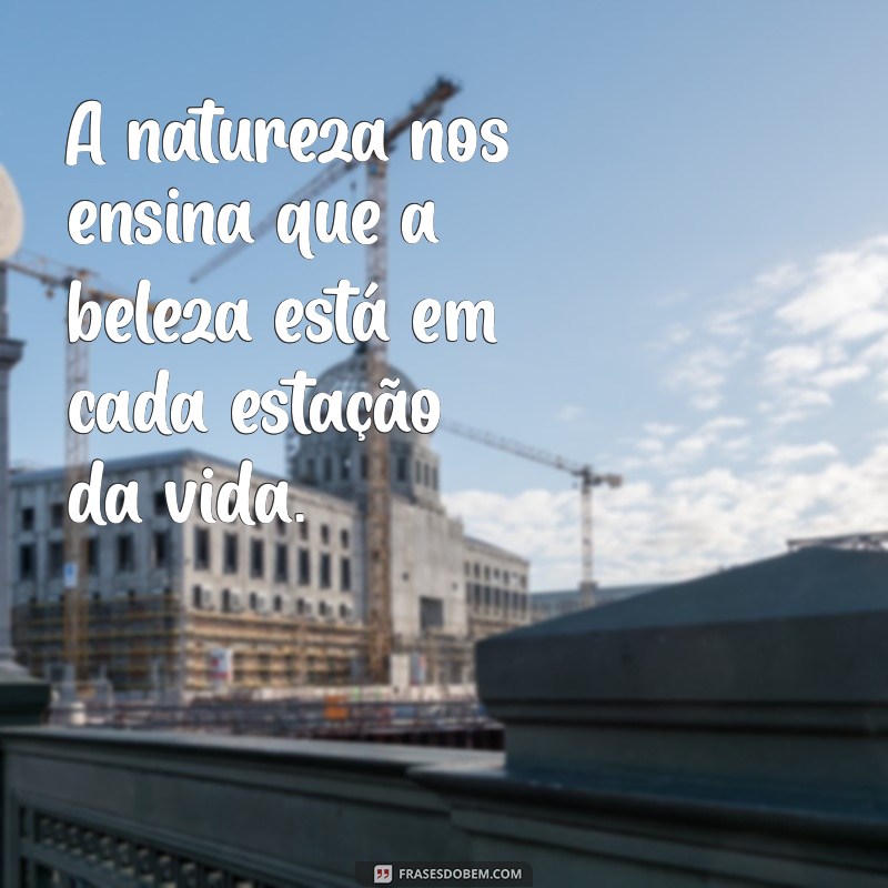 Frases Lindas e Maravilhosas para Inspirar Seu Dia 