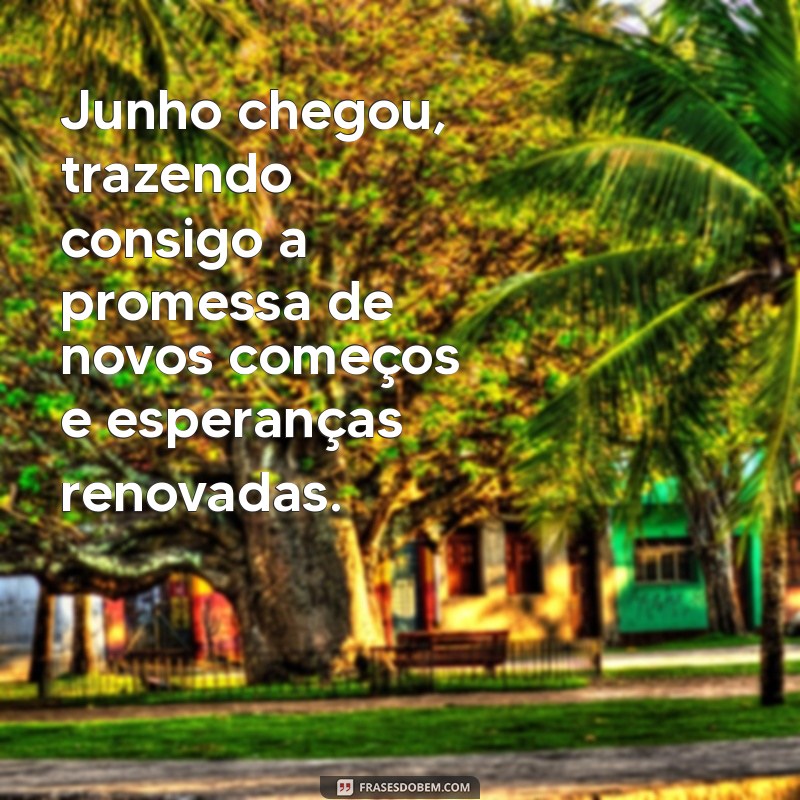 frases mes de junho Junho chegou, trazendo consigo a promessa de novos começos e esperanças renovadas.