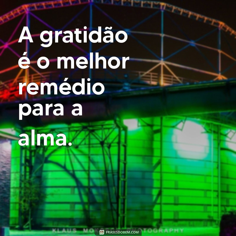 Frases Inspiradoras de Gratidão: Cultivando um Estilo de Vida Agradecido 