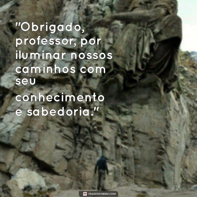 frases para professor de agradecimento 