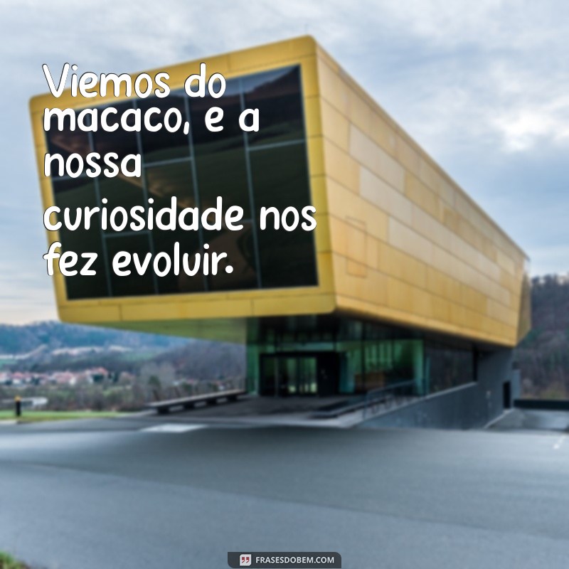 Entenda a Evolução Humana: A Teoria de que Viemos do Macaco 