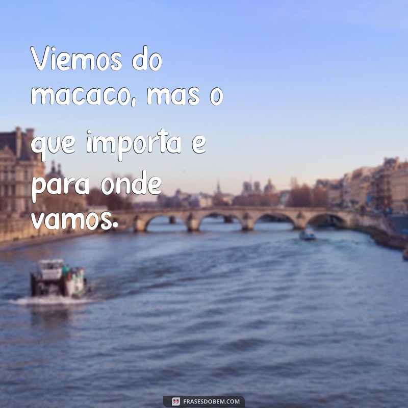 viemos do macaco Viemos do macaco, mas o que importa é para onde vamos.