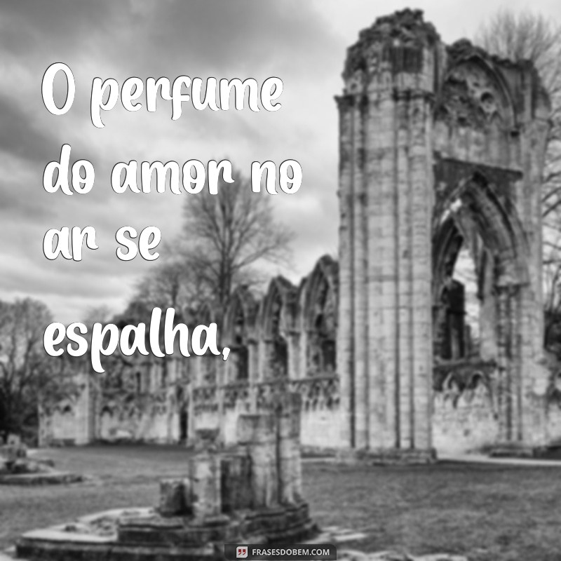 Descubra Poemas Bonitos que Encantam e Inspiram 