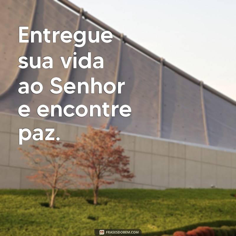 entregue sua vida ao senhor Entregue sua vida ao Senhor e encontre paz.