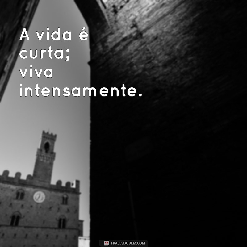 Frases Criativas para Biografia do Instagram: Inspire-se e Destaque-se! 