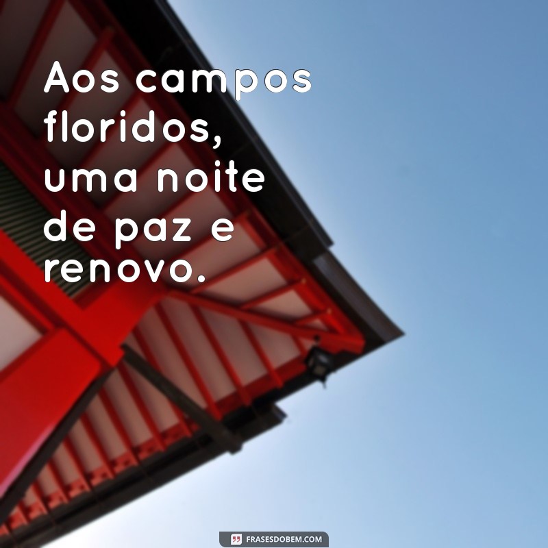 Boa Noite Campos Floridos: Mensagens e Frases para Encantar seu Descanso 