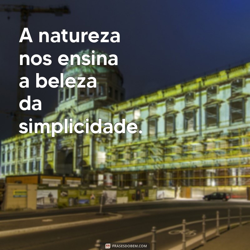 Descubra o Poder da Simplicidade: Como Viver uma Vida Mais Leve e Significativa 