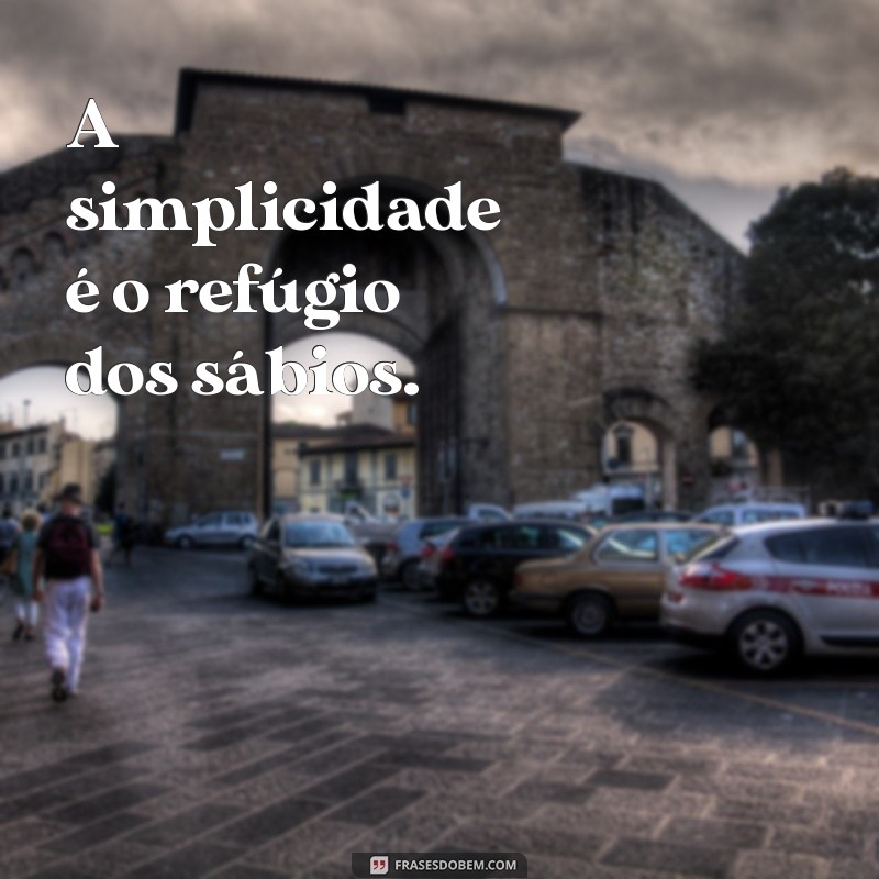 a simplicidade A simplicidade é o refúgio dos sábios.