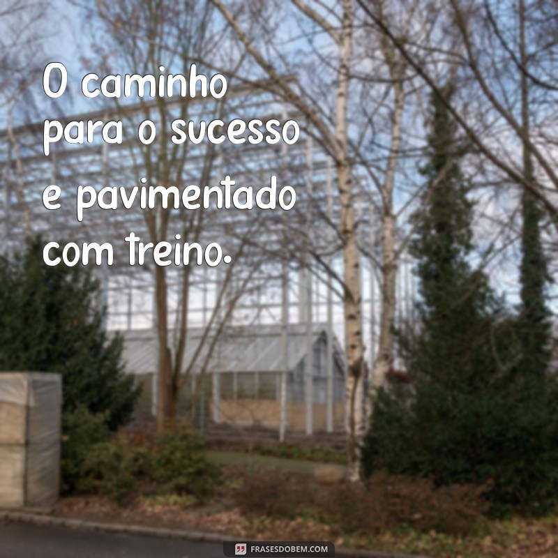 Frases Curtas de Academia para Motivação e Inspiração nos Treinos 