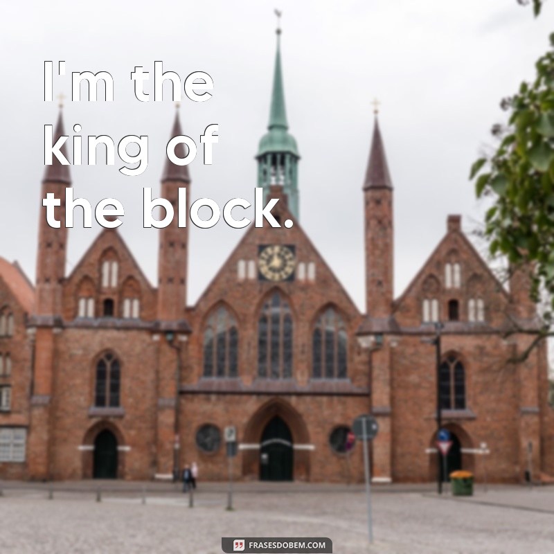 frases boy em inglês I'm the king of the block.