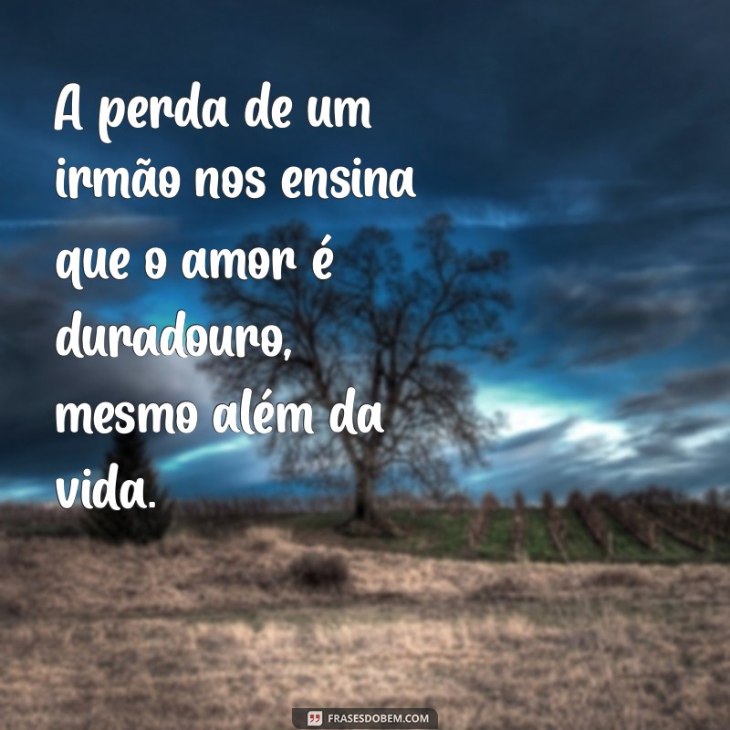 Frases Confortantes para Lidar com a Dor de Perder um Irmão 