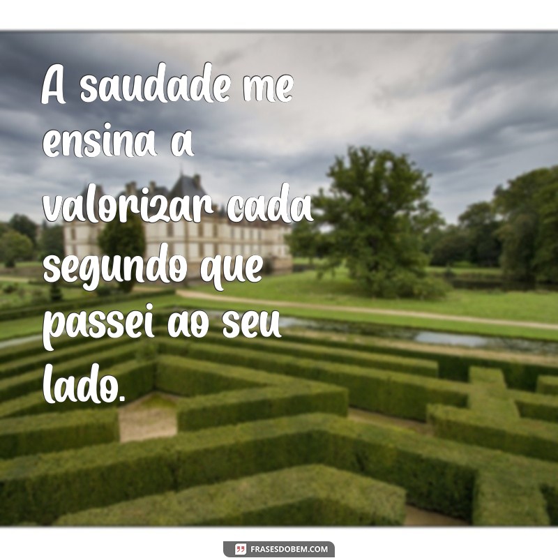 Frases Emocionantes para Lembrar e Homenagear Quem Partiu 