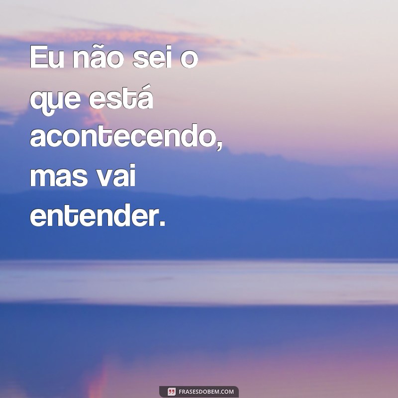 frases vai entender Eu não sei o que está acontecendo, mas vai entender.