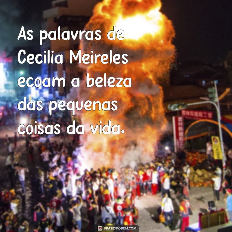 motivo cecilia meireles As palavras de Cecília Meireles ecoam a beleza das pequenas coisas da vida.