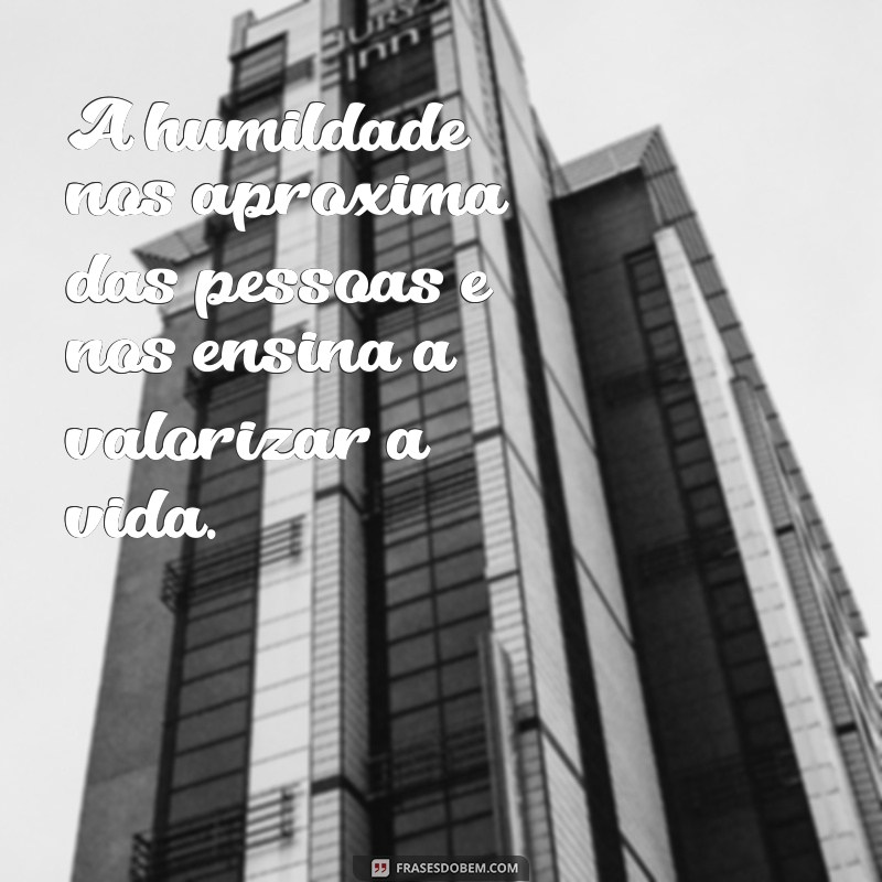 As Melhores Frases Inspiradoras de Irmã Dulce para Refletir e Motivar 