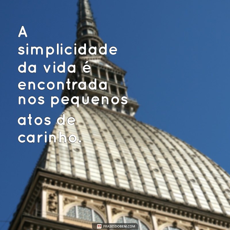 As Melhores Frases Inspiradoras de Irmã Dulce para Refletir e Motivar 