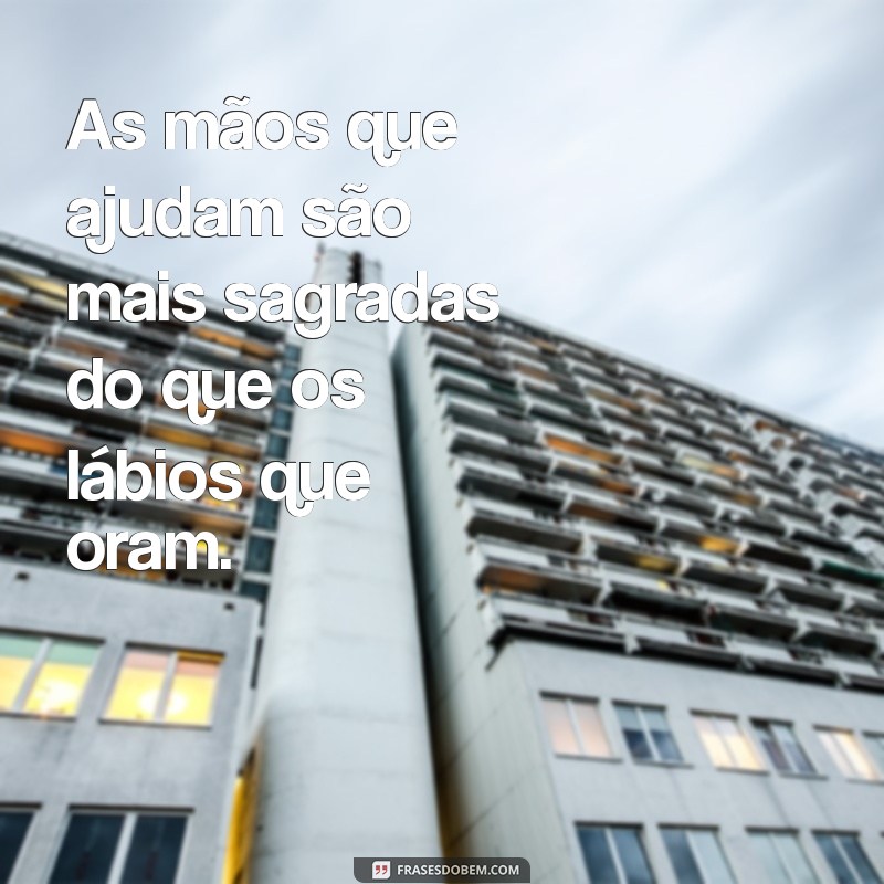 As Melhores Frases Inspiradoras de Irmã Dulce para Refletir e Motivar 