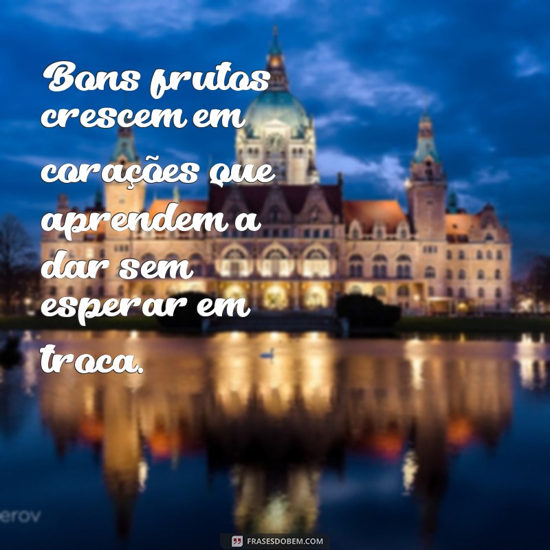 Semear Bons Frutos: Mensagens Inspiradoras para Transformar sua Vida 