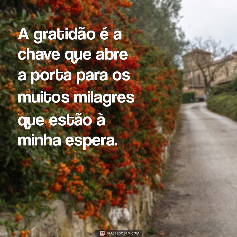 Frases Inspiradoras de Gratidão: Celebre os Milagres da Vida 