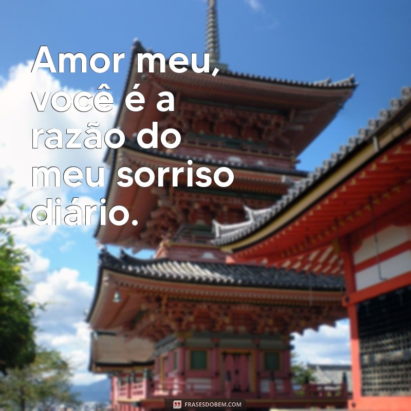 amor meu frases Amor meu, você é a razão do meu sorriso diário.