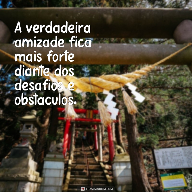 Descubra as melhores frases de amizade do grande pensador 