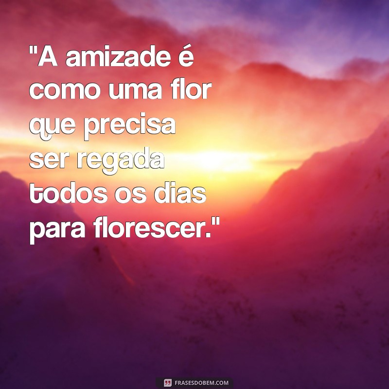 pensador frases de amizade 