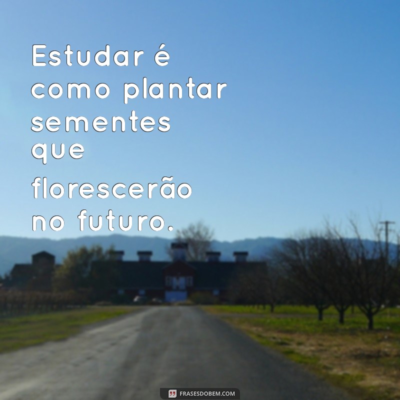 Frases Inspiradoras sobre Estudo: Motive-se a Aprender Mais! 