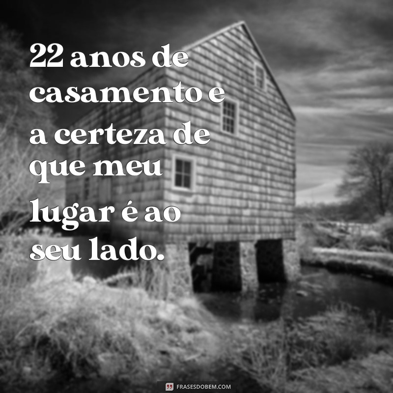 Descubra as melhores frases para comemorar as bodas de 22 anos de casamento 