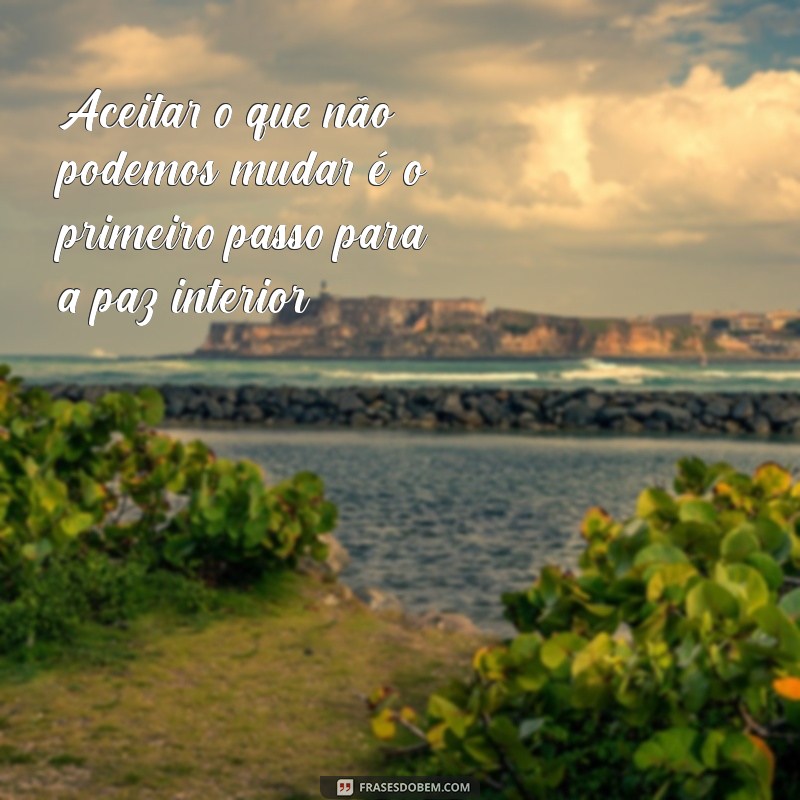 Descubra 30 Frases Inspiradoras para Viver em Paz e Harmonia 