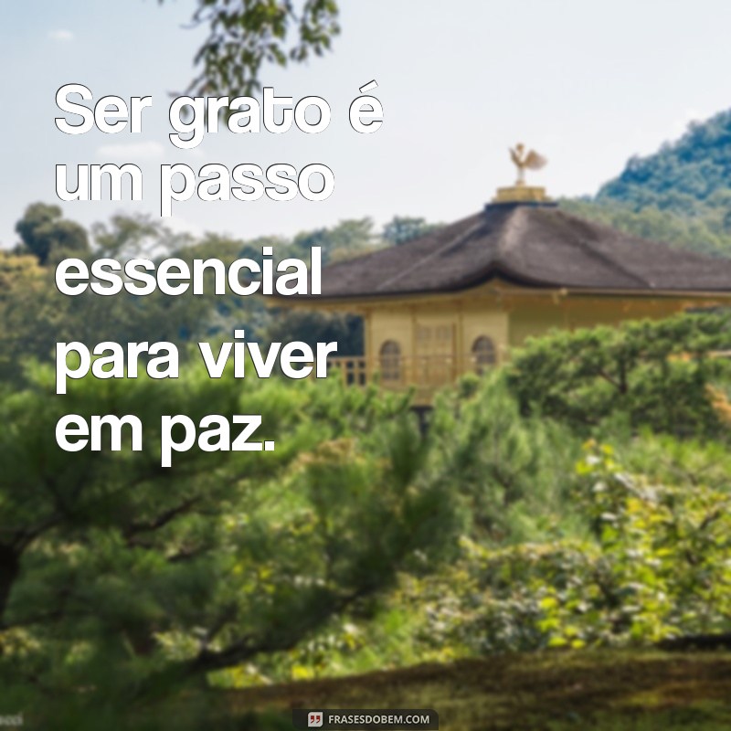 Descubra 30 Frases Inspiradoras para Viver em Paz e Harmonia 