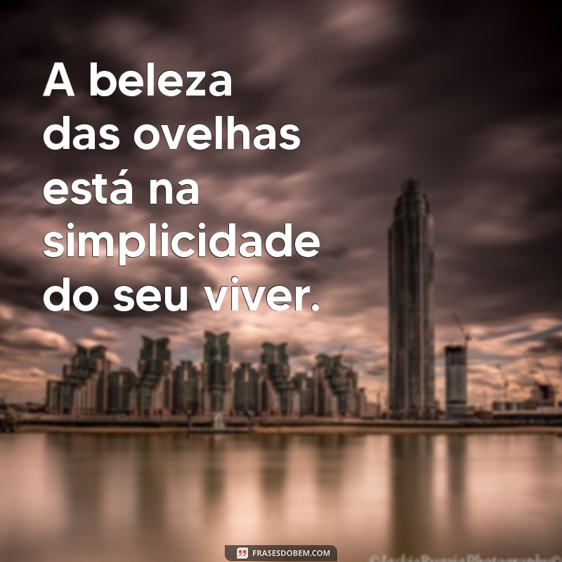 Descubra 30 Frases Inspiradoras com Ovelhas para Encantar seu Dia 