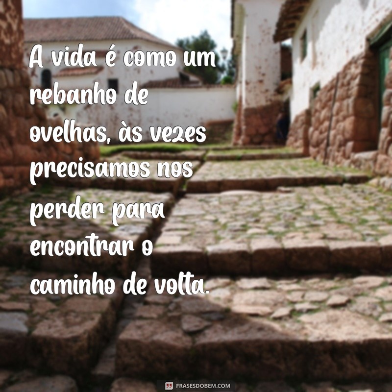 frases com ovelha A vida é como um rebanho de ovelhas, às vezes precisamos nos perder para encontrar o caminho de volta.