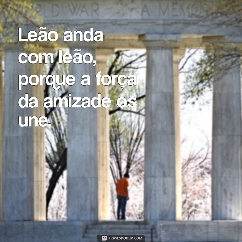 frases leão anda com leão Leão anda com leão, porque a força da amizade os une.