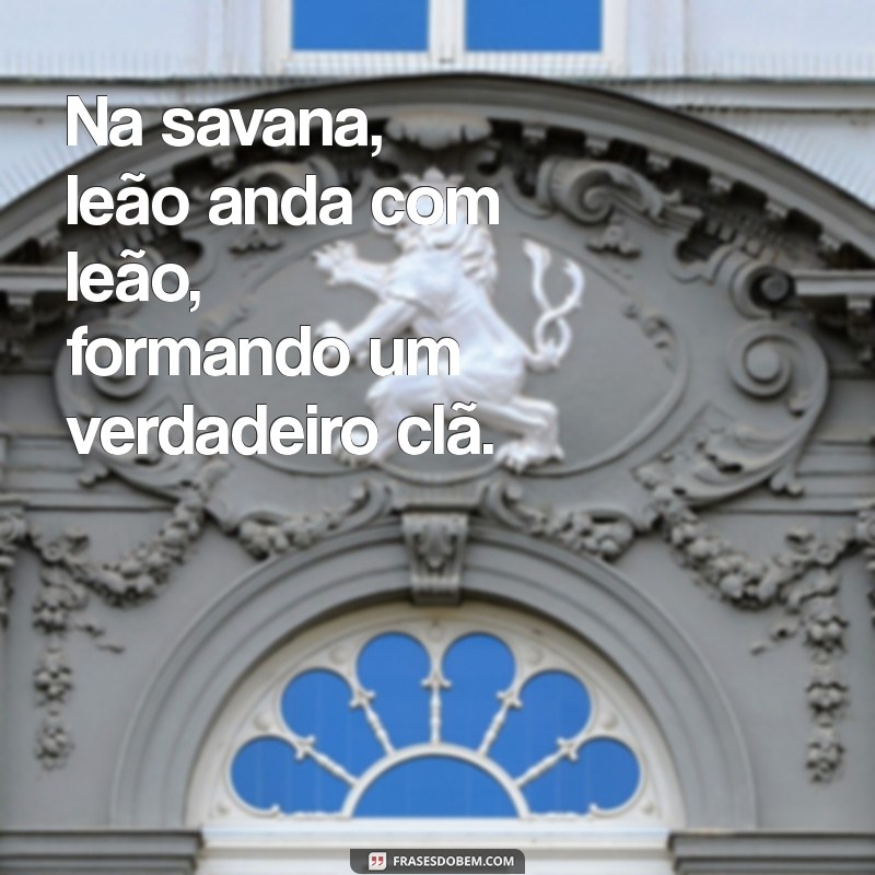 Frases Inspiradoras: A Sabedoria de Leão Anda com Leão 