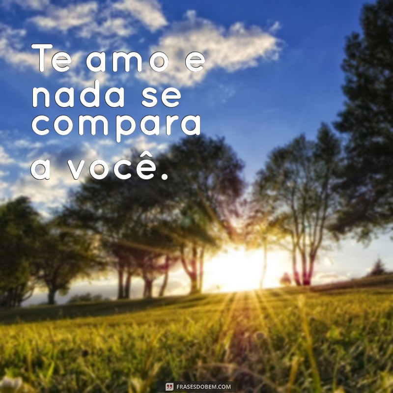 Capturando o Amor: As Melhores Frases para Acompanhar suas Fotos de Te Amo 