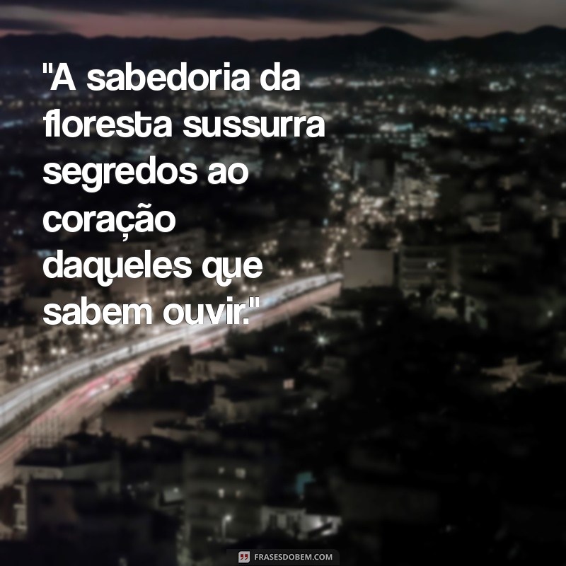 frases xamanica 