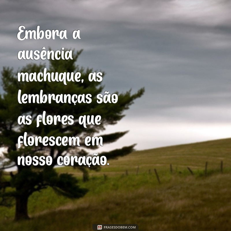 Como Expressar Seus Sentimentos Durante o Luto: Mensagens que Confortam 