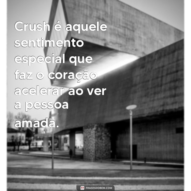 crush significado Crush é aquele sentimento especial que faz o coração acelerar ao ver a pessoa amada.