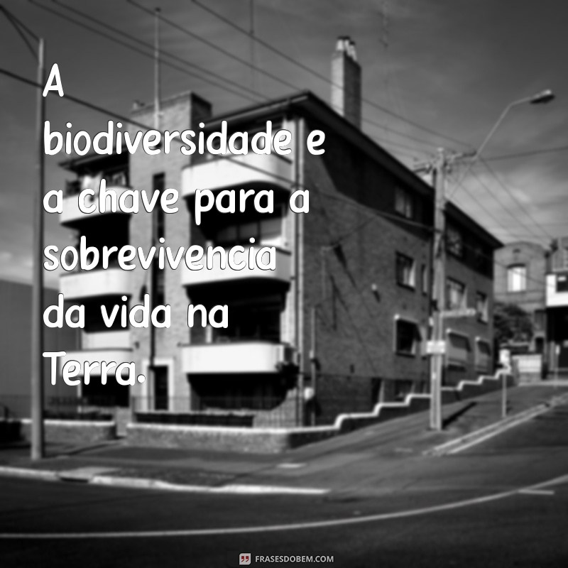 Edward Wilson: O Legado do Pai da Sociobiologia e Suas Contribuições para a Ciência 