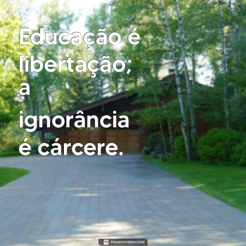 Frases Inspiradoras sobre a Importância da Educação para Transformar Vidas 