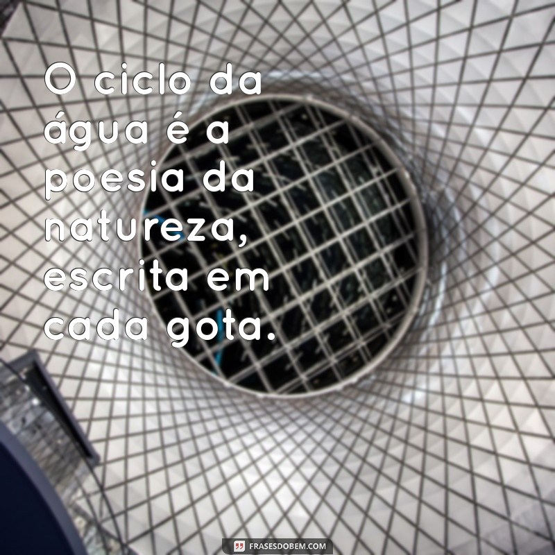 Frases Inspiradoras sobre a Água: A Importância da Água no Planeta 