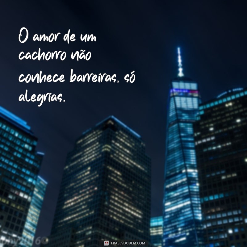 Frases Emocionantes sobre o Amor Canino: Celebre a Lealdade do Seu Melhor Amigo 