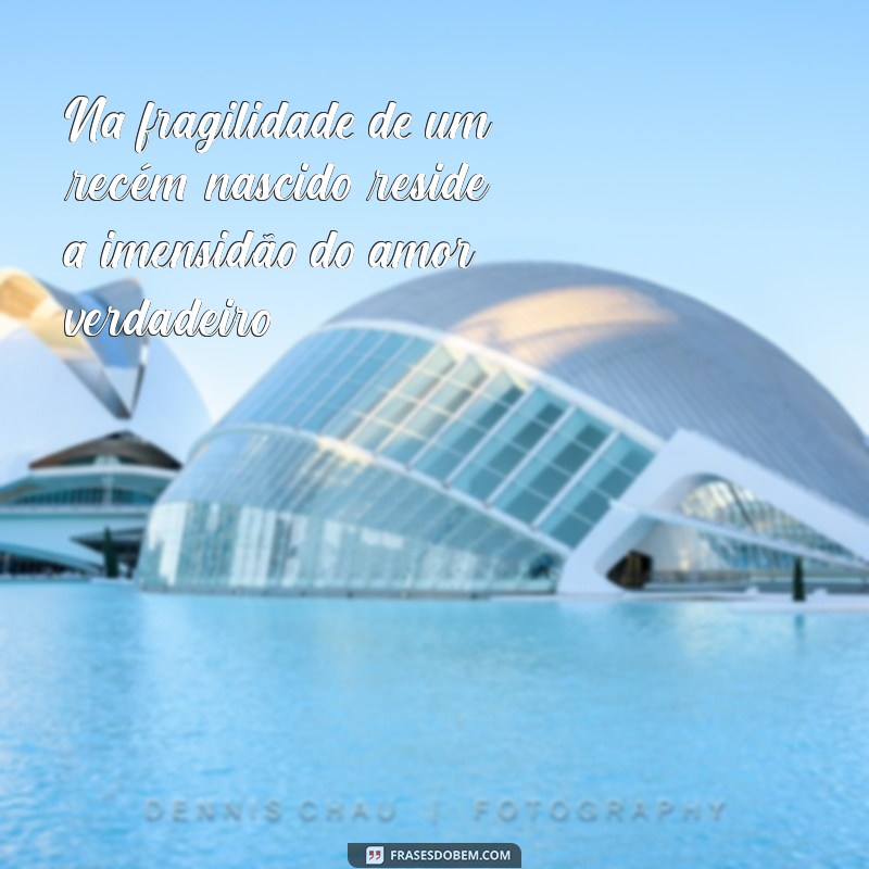 Frases Inspiradoras sobre o Nascimento e a Celebração da Vida 