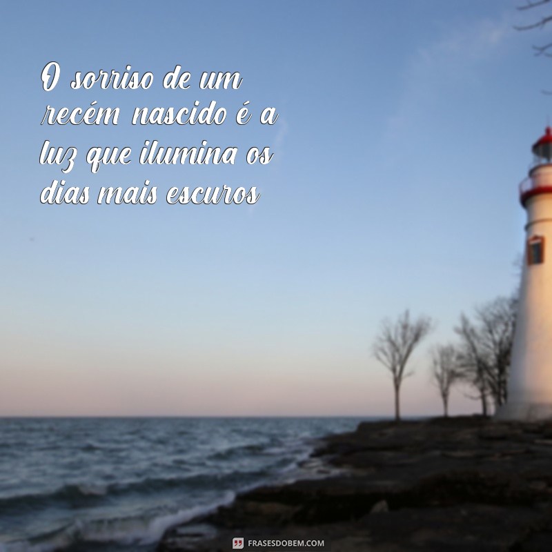 Frases Inspiradoras sobre o Nascimento e a Celebração da Vida 