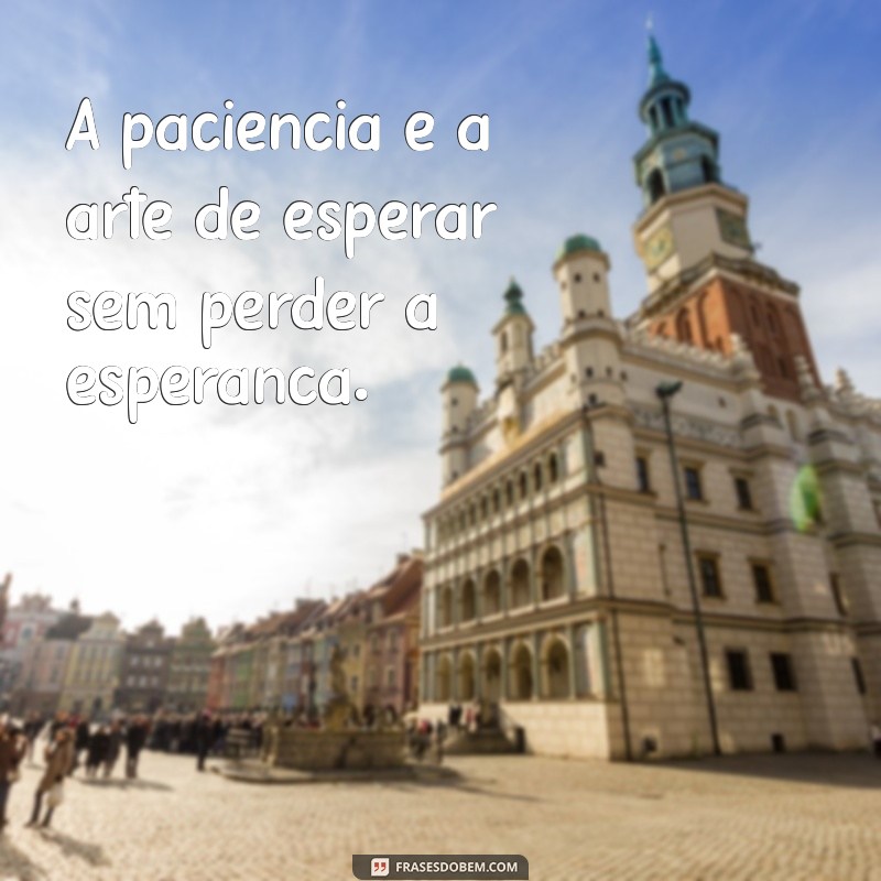 frases sobre paciência de esperar A paciência é a arte de esperar sem perder a esperança.