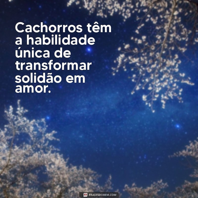 Descubra o Amor Incondicional dos Cães: Uma Celebração da Lealdade e Amizade 